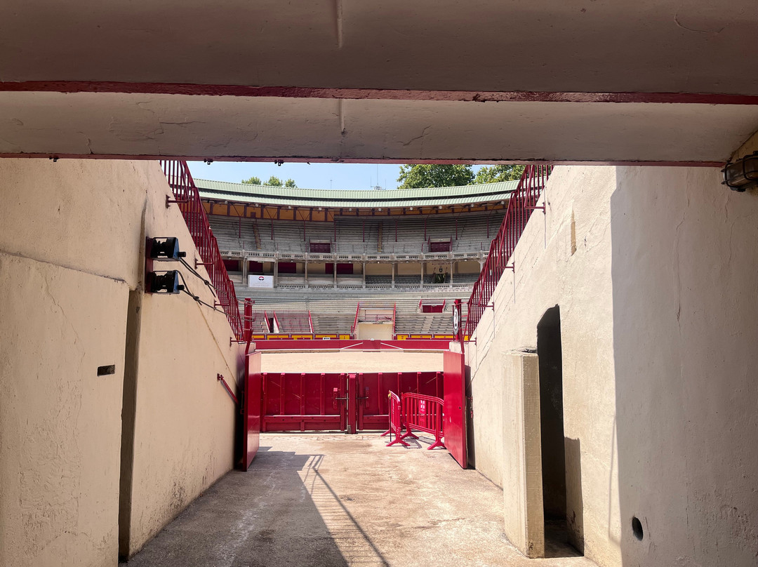 Plaza de Toros de Pamplona-潘普洛纳必去景点
