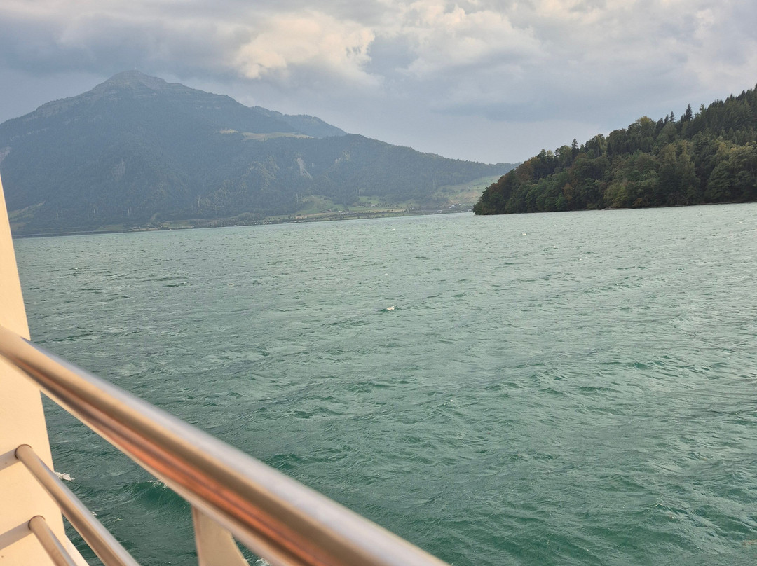 Zugersee Schiffahrt-楚格必去景点