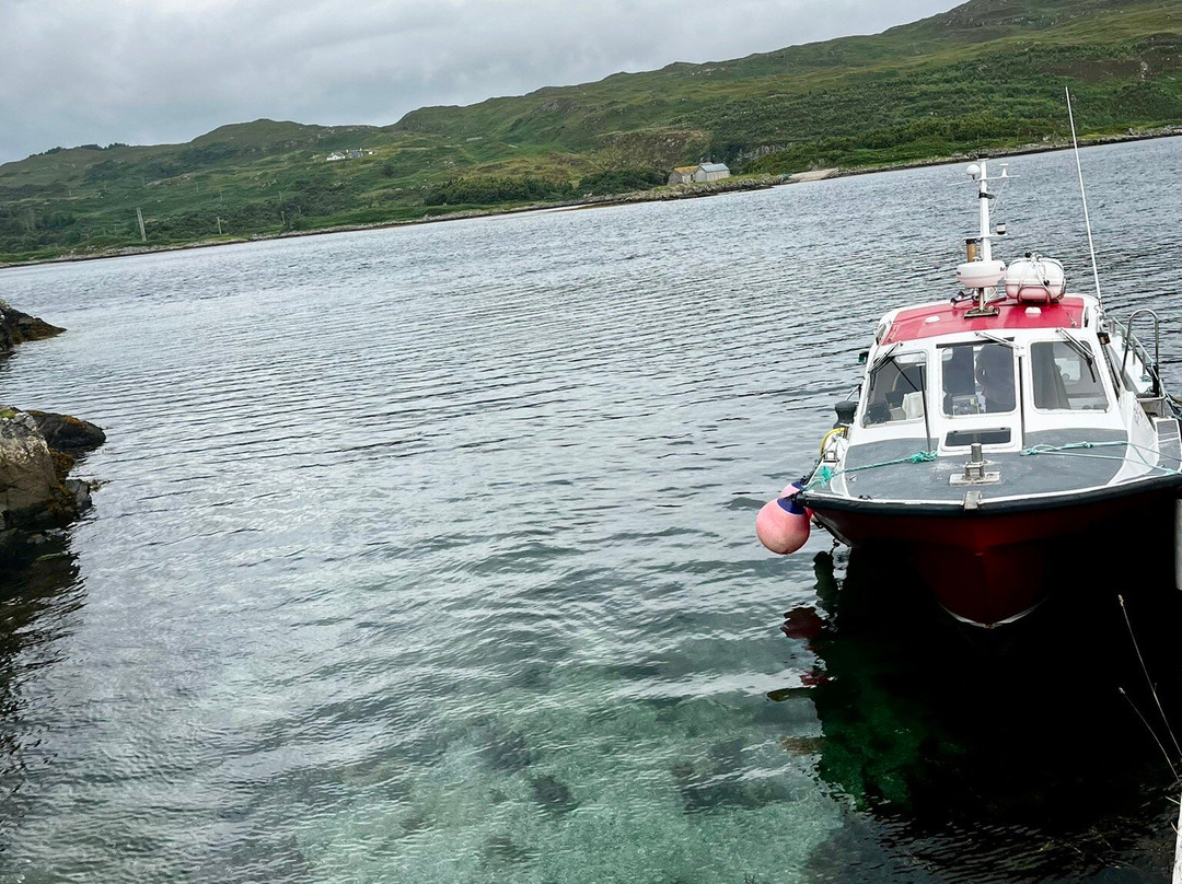 Kylesku Boat Tours-Kylesku必去景点