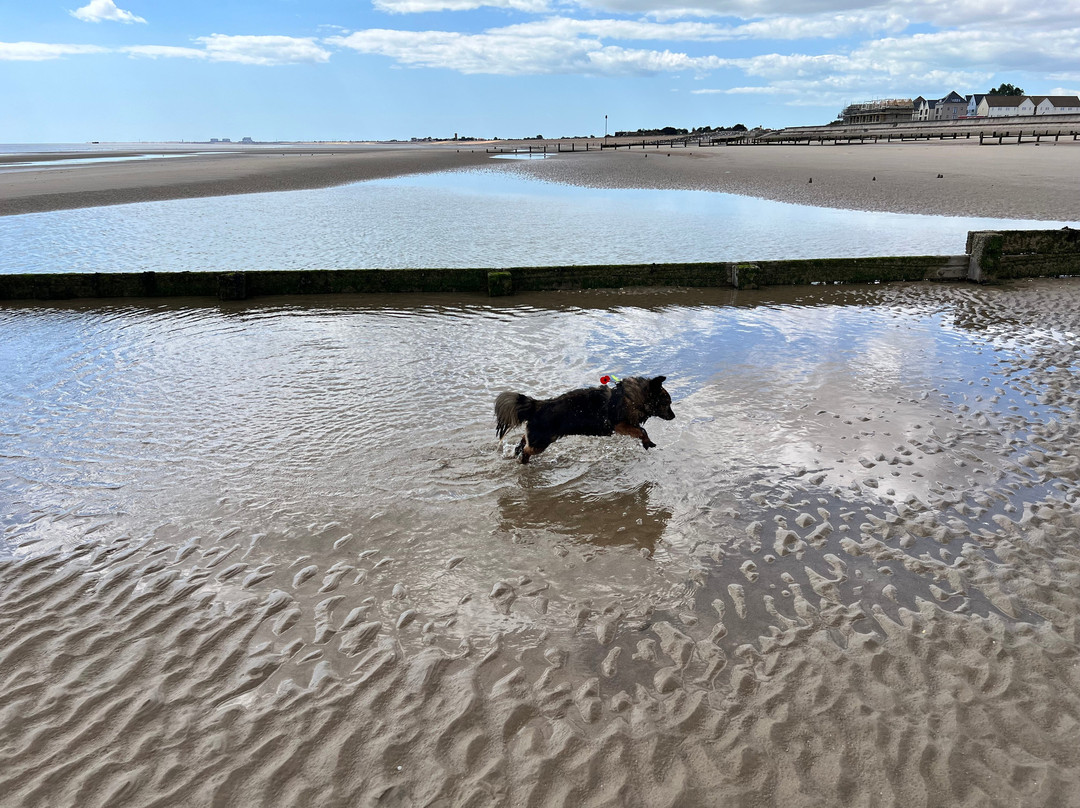 St Marys Bay Beach-St Mary's Bay必去景点