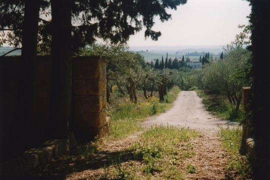 杰阿尔汀塔别墅-旅行者