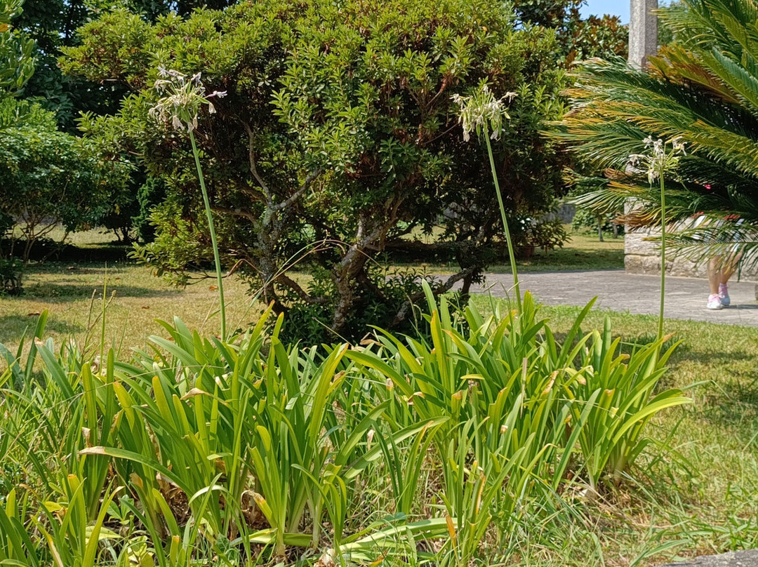 Albergue Pallanes