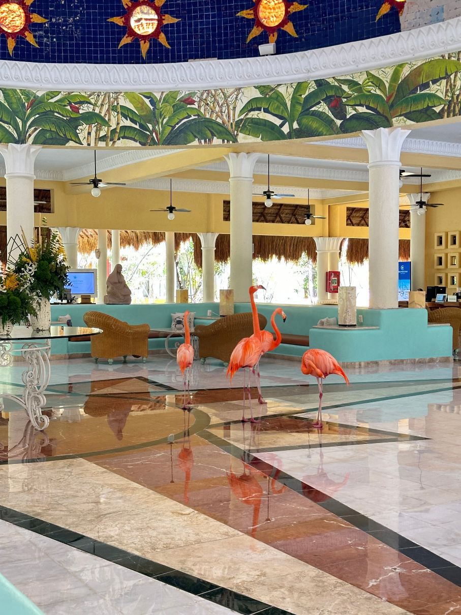 天堂海滩伊贝罗斯塔浪花酒店-旅行者