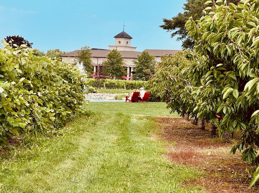 Two Sisters Vineyards-滨湖尼亚加拉必去景点