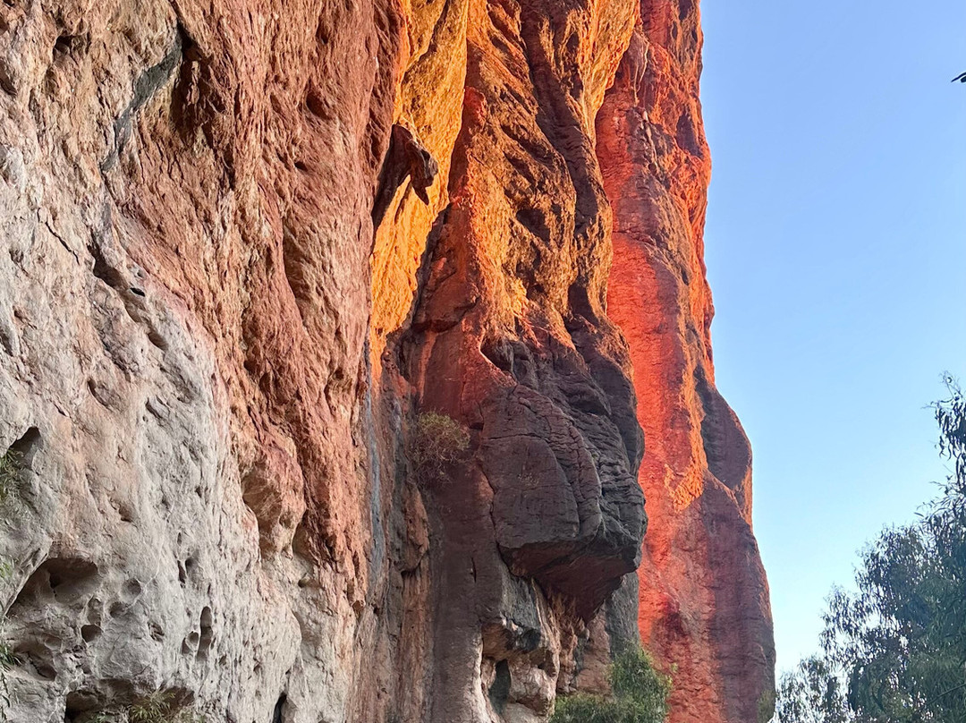 Adventure Wild Kimberley Tours-布鲁姆必去景点