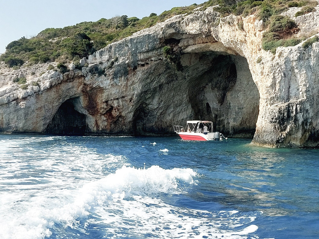 Zante Vipboats-阿雷克斯必去景点