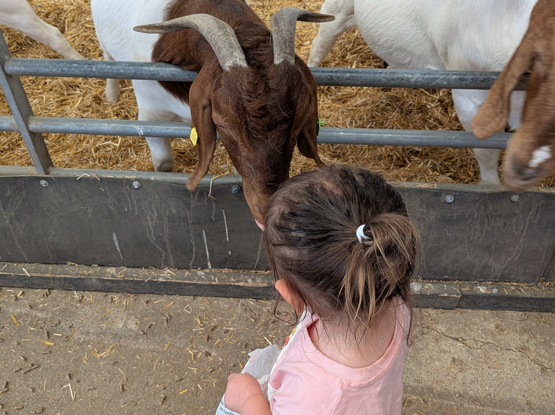 Mead Open Farm-Billington必去景点