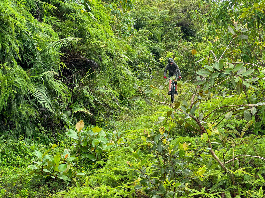 Downhill Mtb-Kitulgala必去景点