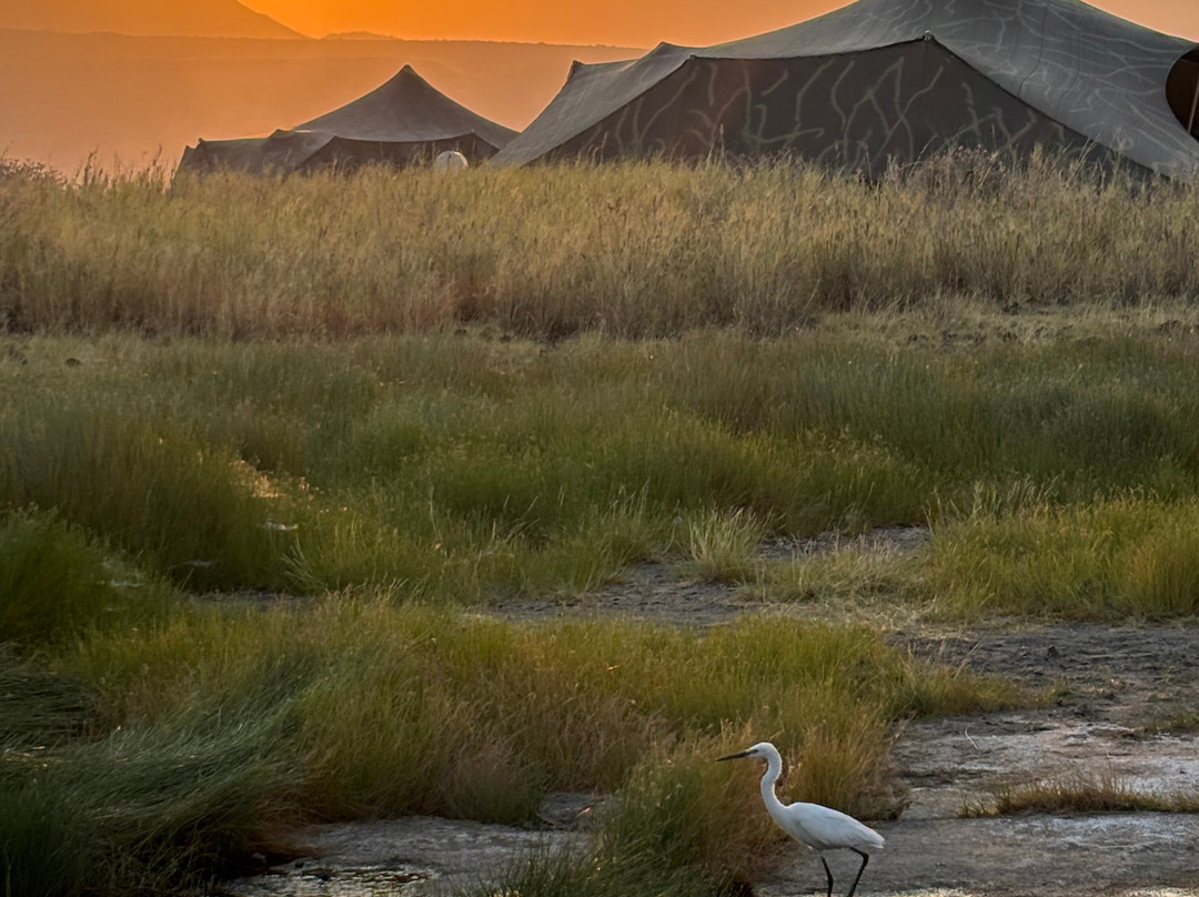 Tanzania-Experience-阿鲁沙必去景点
