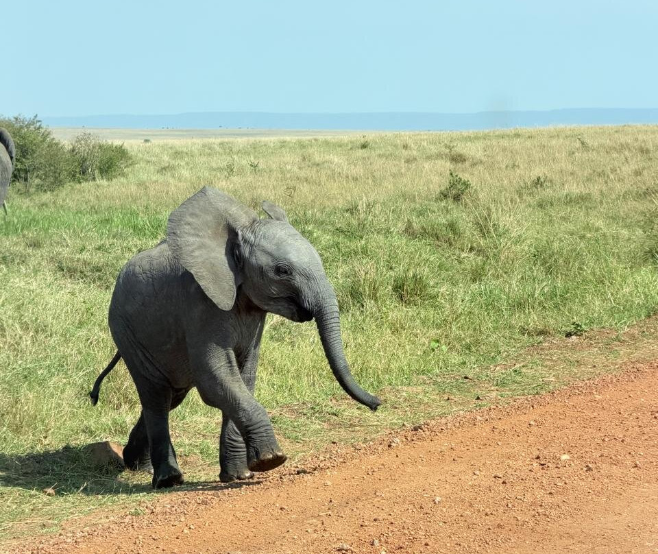 Garibaldi Safari Kenya-瓦塔木必去景点