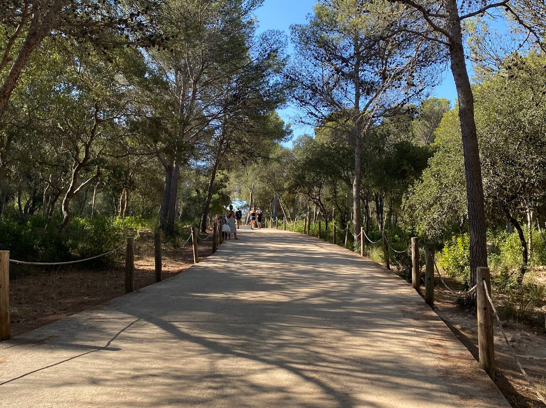 Cala Mitjana-Cala Galdana必去景点