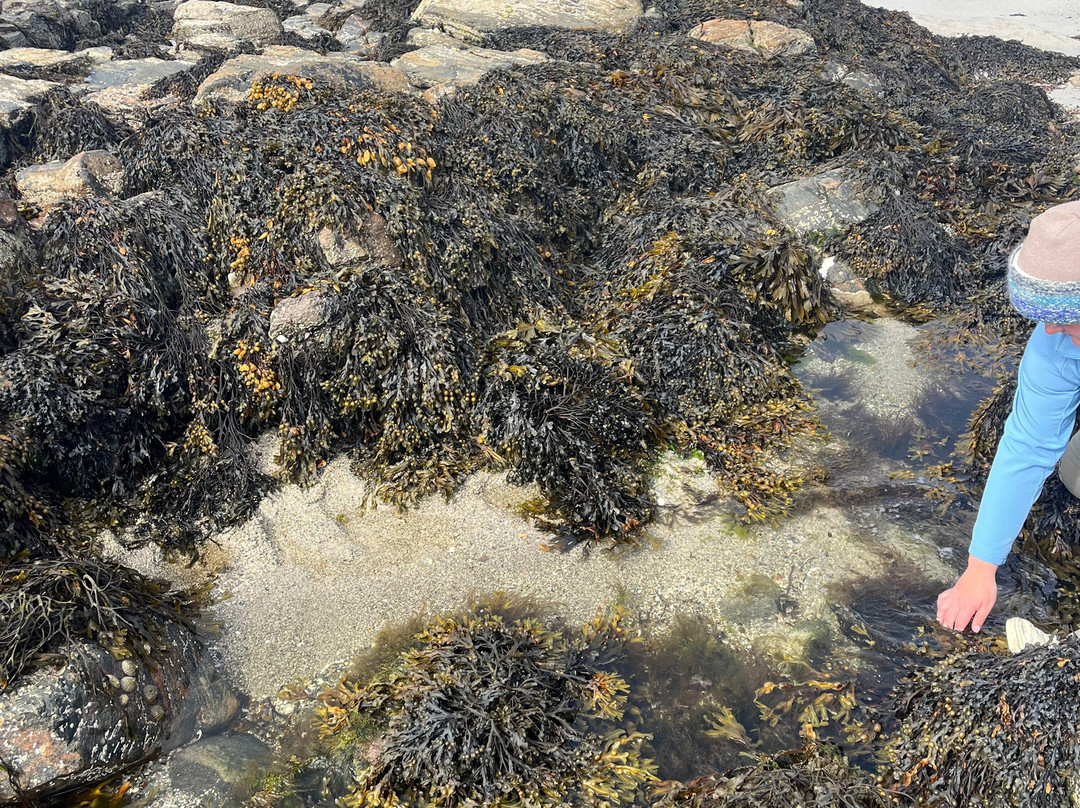 Traigh Bhostadh (Bosta Beach)-Great Bernera必去景点
