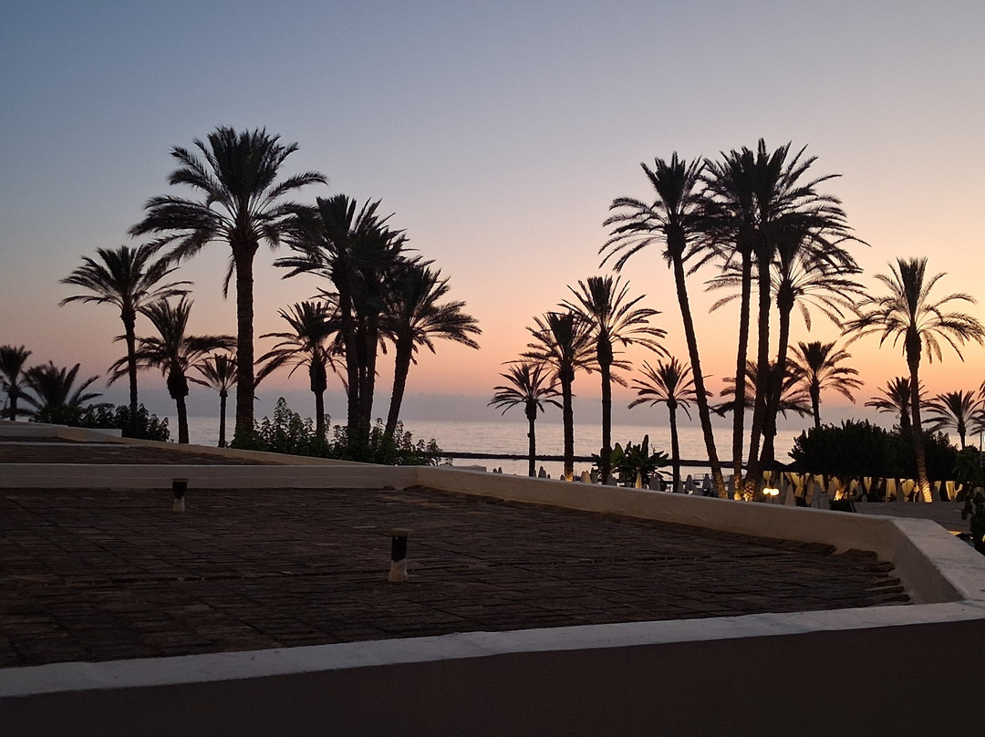 Constantinou Bros Pioneer Beach Hotel主图