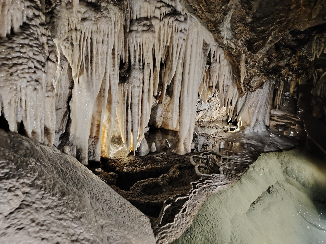 Grotta del Vento-Fornovolasco必去景点