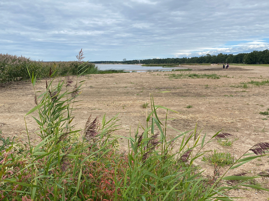 Dubkovskiy Beach-Sestroretsk必去景点