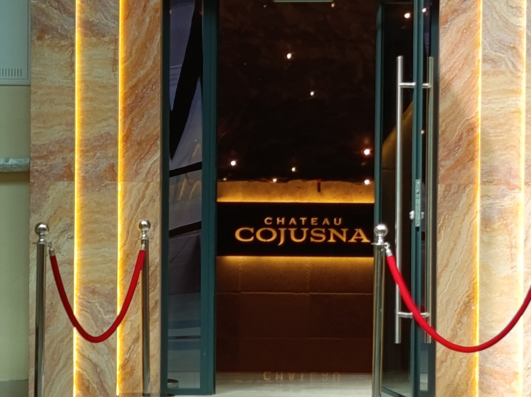 Chateau Cojusna-Straseni必去景点