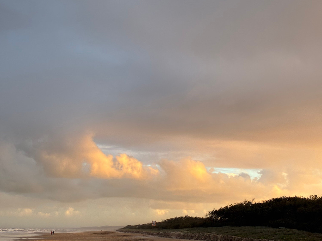 Drop Bear K'gari Fraser Island Adventures-弗雷泽岛必去景点
