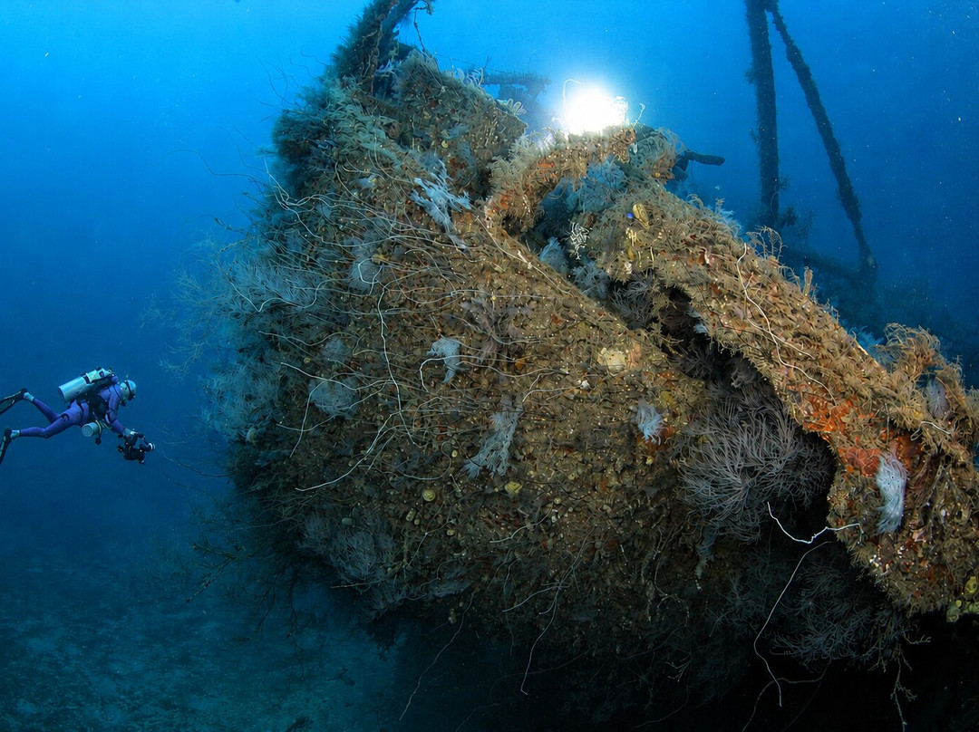 Aquanauts Grenada-True Blue必去景点