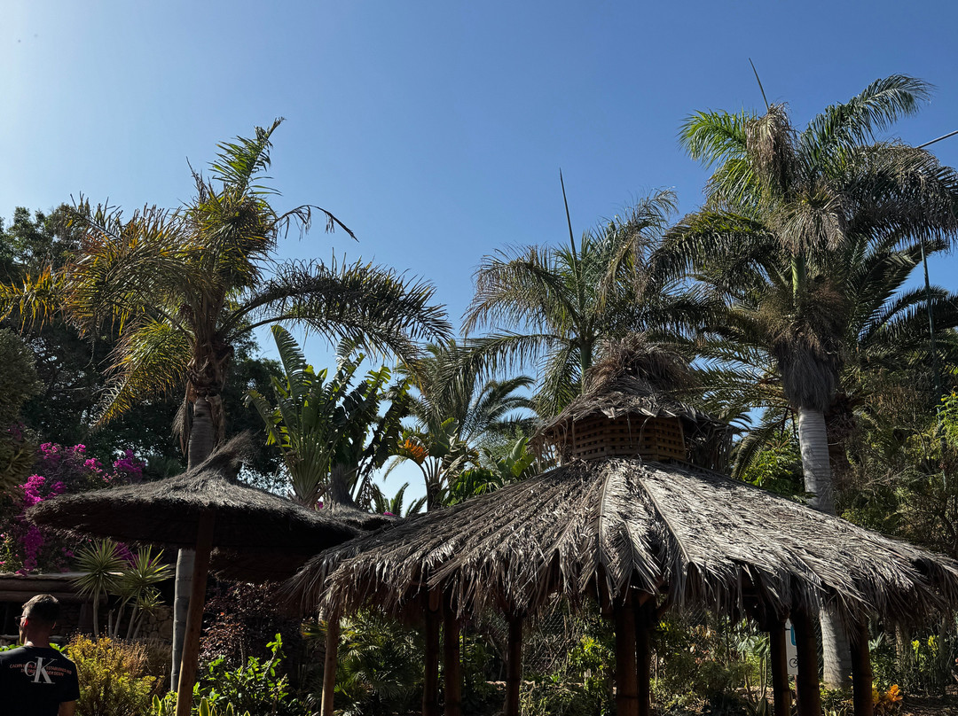 Oasis Park Fuerteventura-La Lajita必去景点