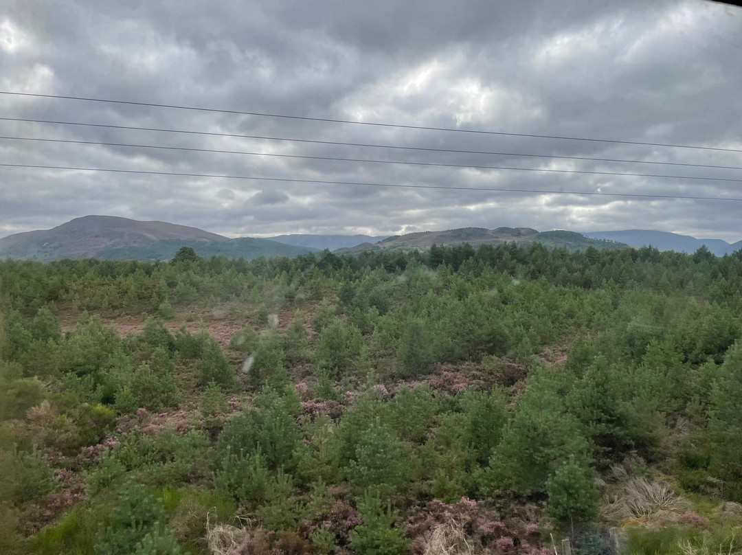 Strathspey Railway-阿维莫尔必去景点