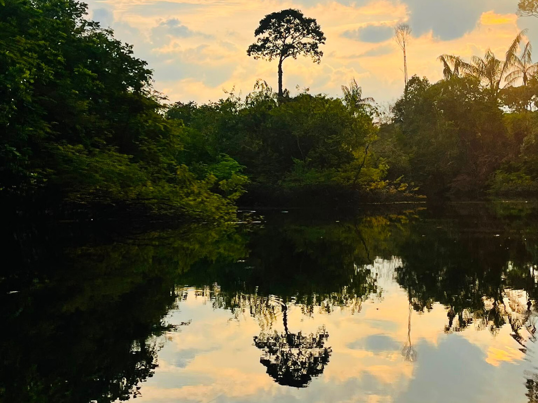 Amazon Green Tours-玛瑙斯必去景点