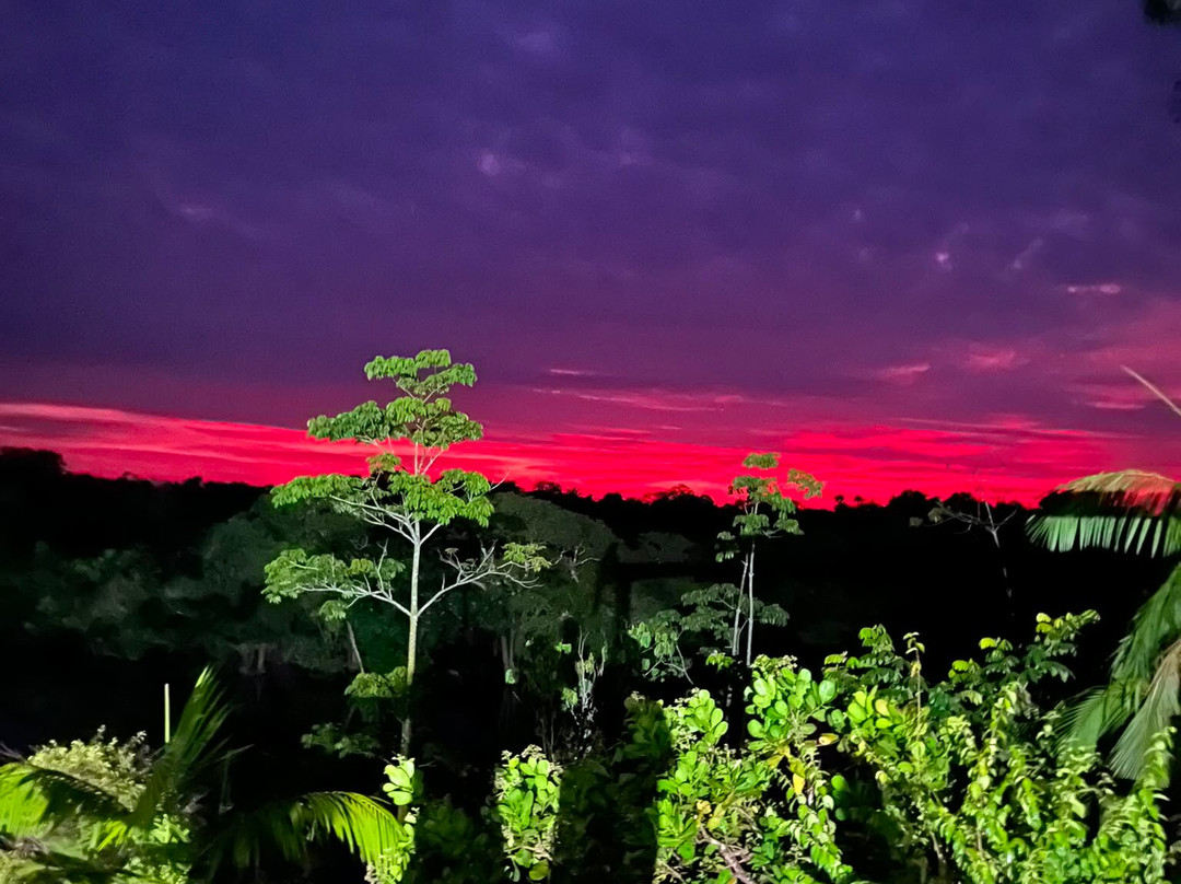 Amazon Green Tours-玛瑙斯必去景点