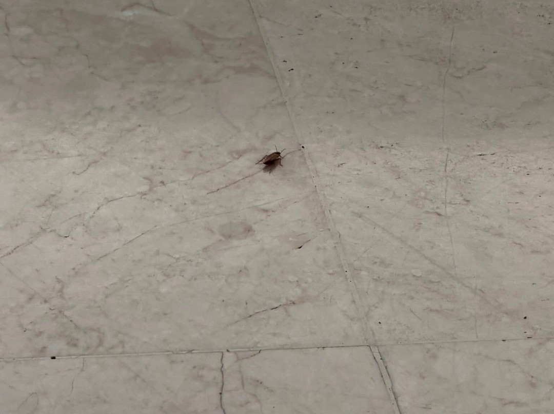 希律死海酒店主图