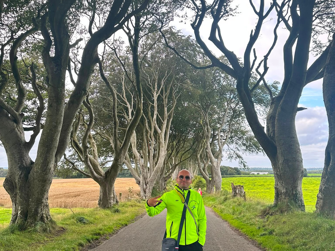 The Dark Hedges-巴利马尼必去景点