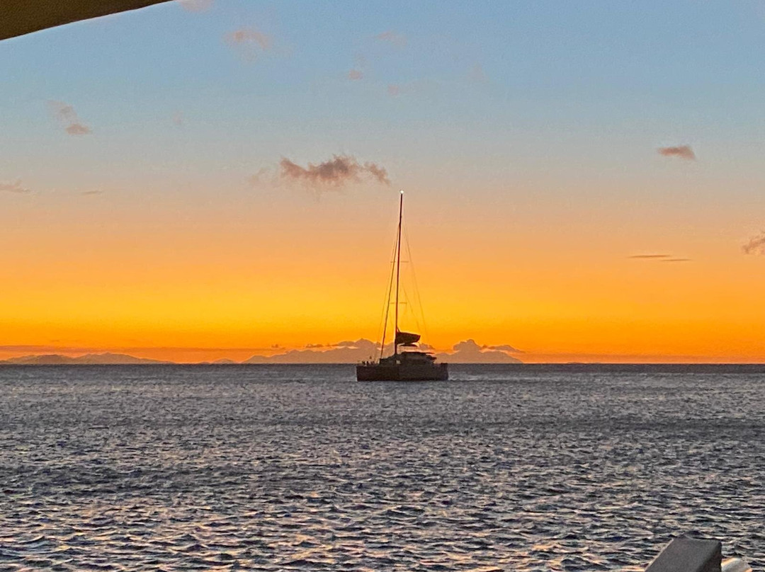 Cumberland Charter Yachts-艾尔利滩必去景点