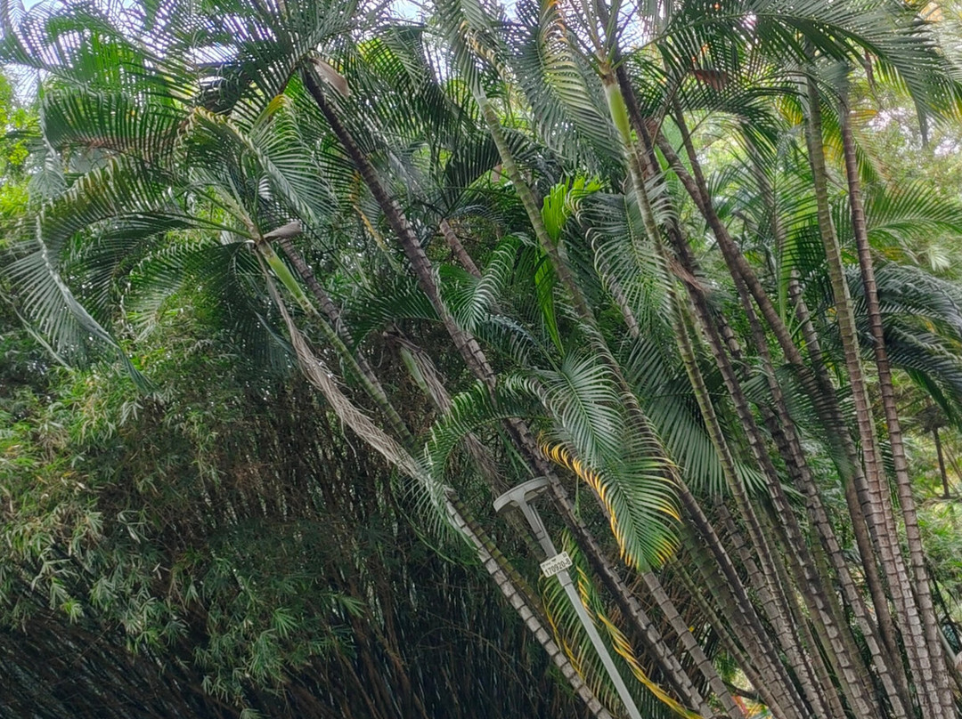 Americo Renee Giannetti Municipal Park-贝洛哈里桑塔必去景点