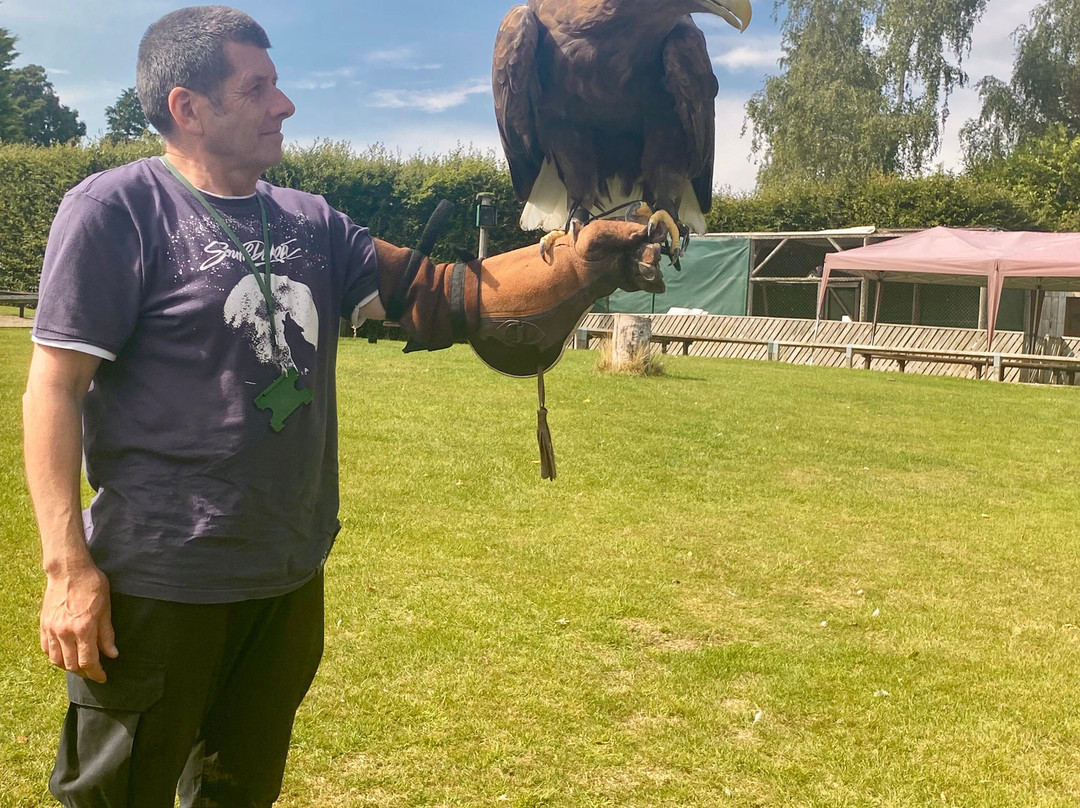 Thirsk Birds Of Prey Centre-瑟斯克必去景点