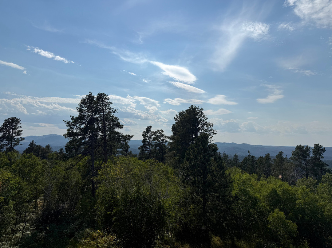 Mt Roosevelt Monument-戴德伍德必去景点