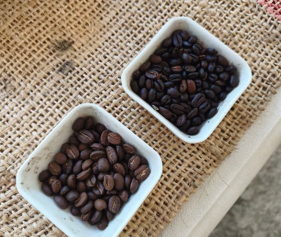 Finca Cafetera La Leona-麦德林必去景点
