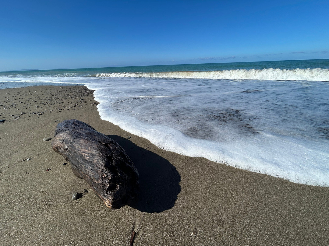 Spiaggia libera di Bibbona-Marina di Bibbona必去景点