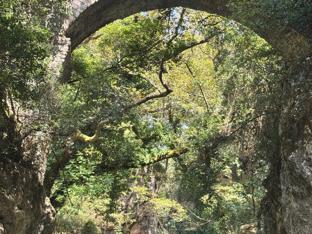 Flow & Grow Kayak Tours-Karitena必去景点