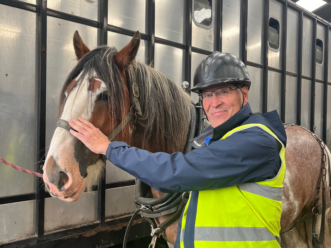 Blackstone Clydesdales Experience-Cumnock必去景点