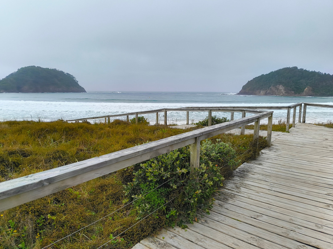 Matapouri Bay-Tutukaka必去景点