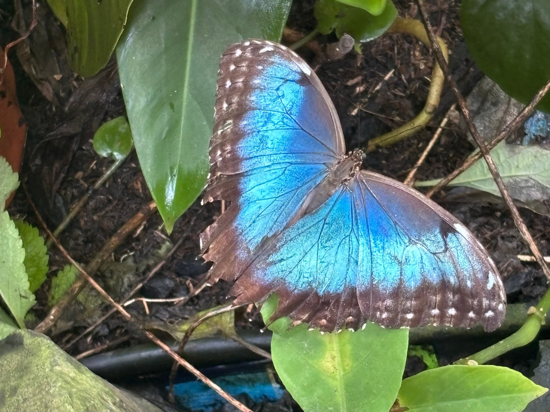 Punta Culebra Nature Center-巴拿马城必去景点