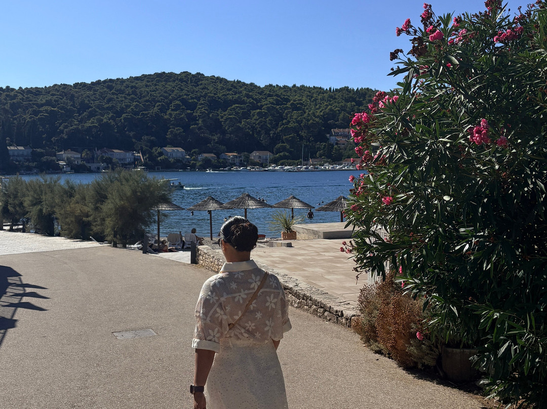 Korcula Old City-科尔丘拉岛必去景点