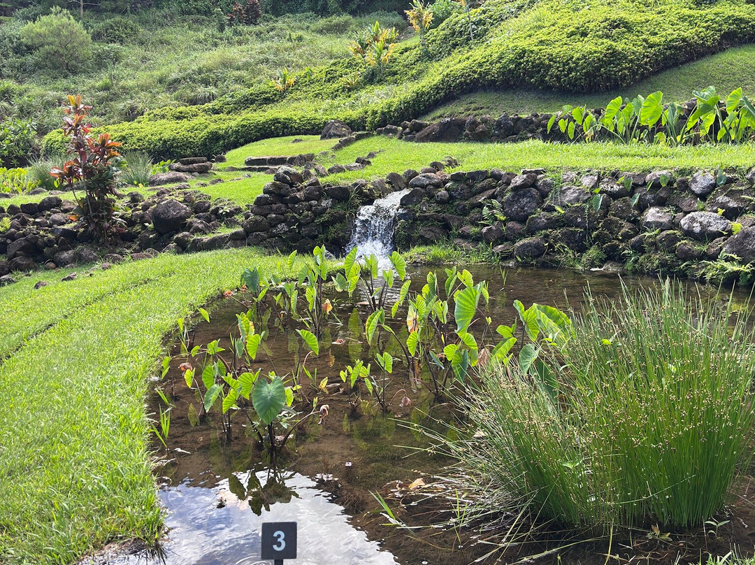 Limahuli Garden and Preserve-哈纳雷伊必去景点