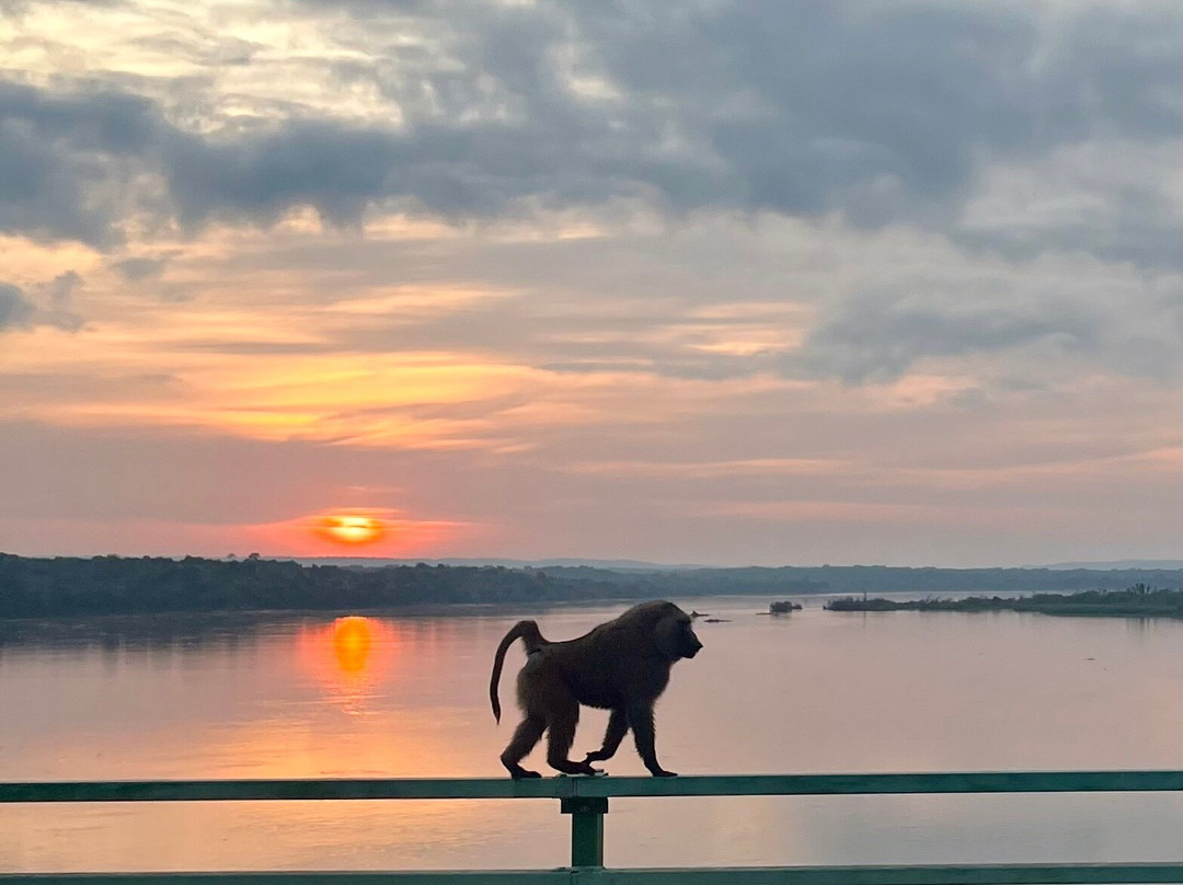 Grassrootz Adventures Uganda-坎帕拉必去景点