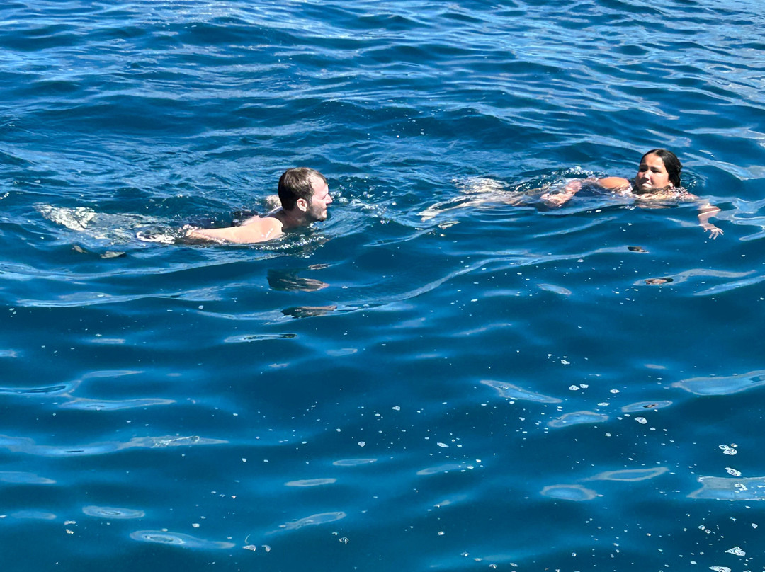 Maui Snorkeling-玛阿拉也亚必去景点