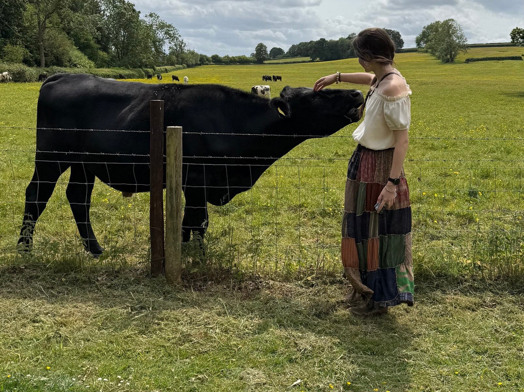 The Cotswold Tour Guide-切尔滕纳姆必去景点