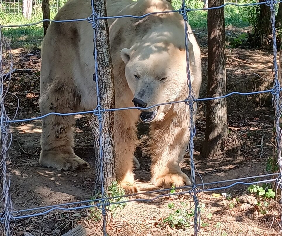 Parc Zoo du Reynou-Le Vigen必去景点