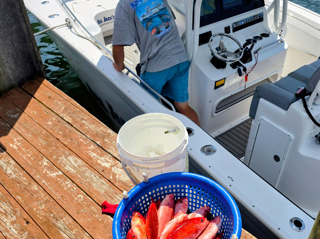 All Jack'd Up Charters-Perdido Key必去景点