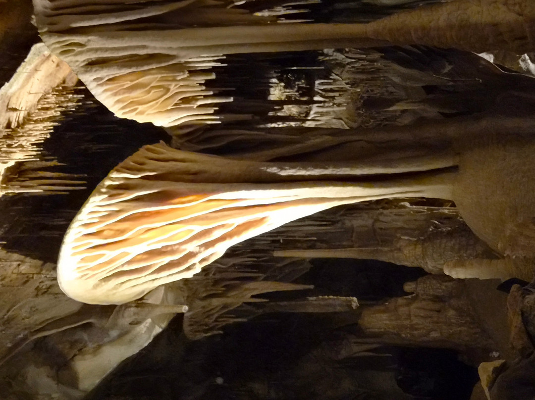 Lehman Caves-Great Basin National Park必去景点