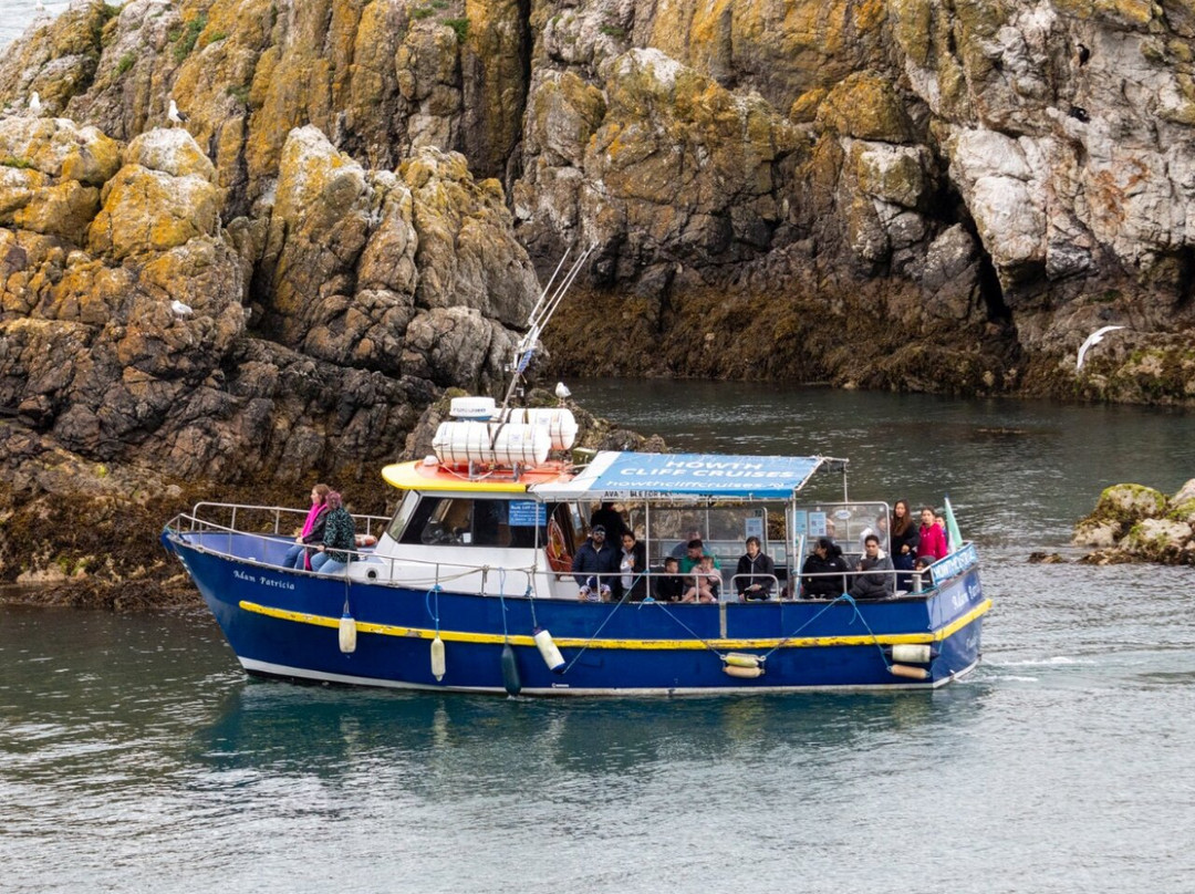 Howth Cliff Cruises-霍斯必去景点