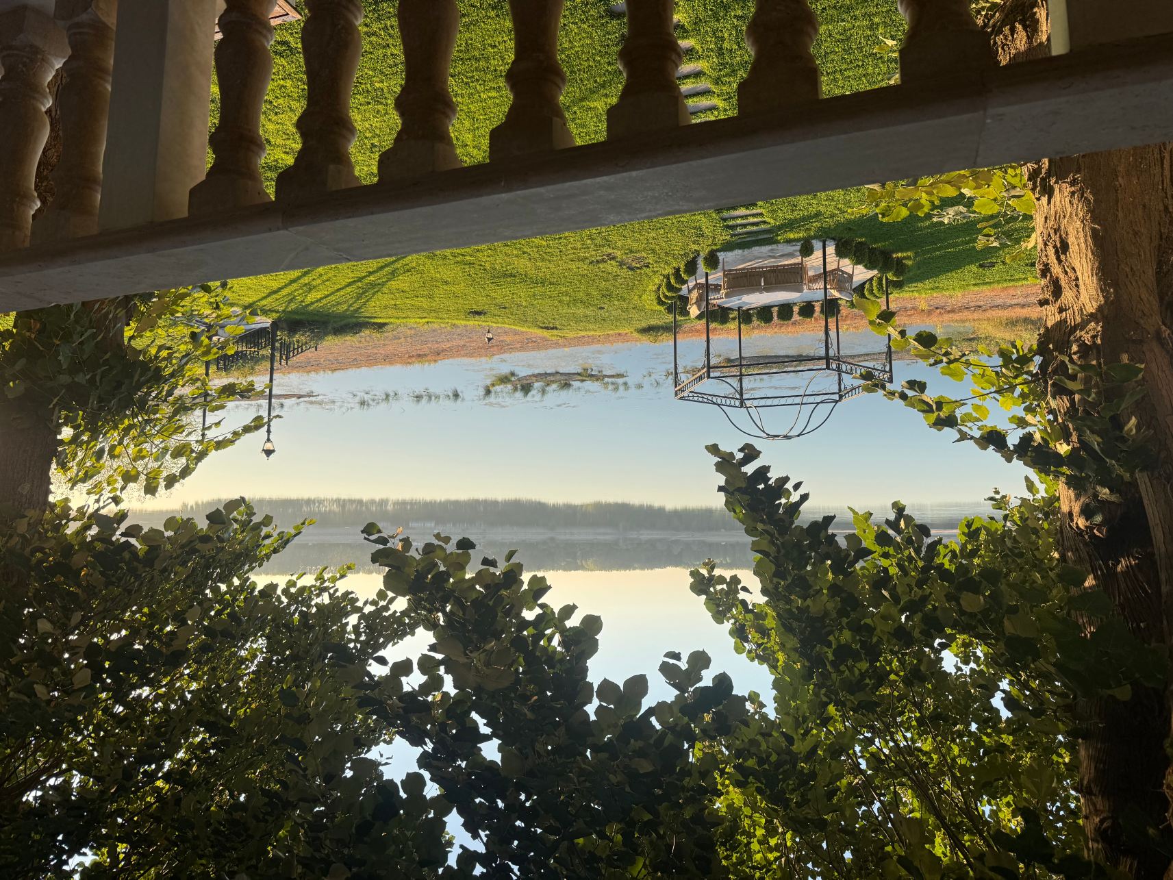 Bononia Estate Winery & Resort-旅行者