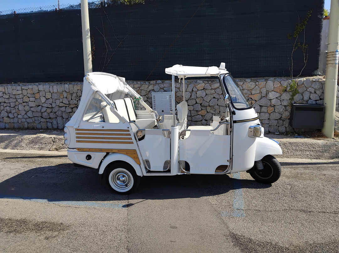 Book Excursions Sicily & Ape Tours-Cinisi必去景点