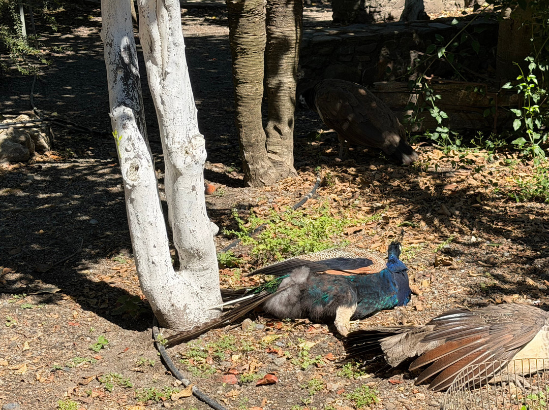 Botanical Garden Of Crete-Fournes必去景点
